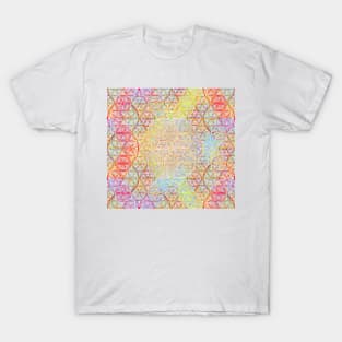 Colorful circles (light background) T-Shirt